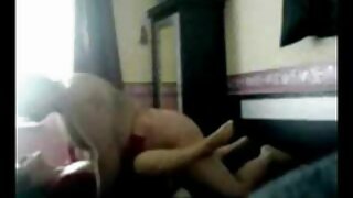 გაფუჭებული შავგვრემა ...
